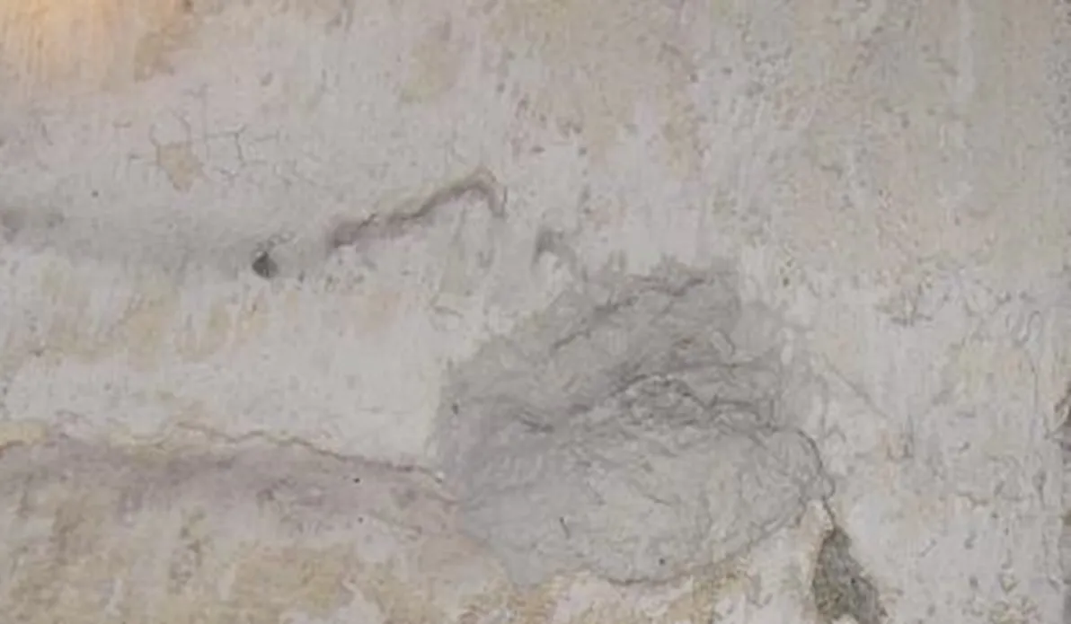 Asbestos thermal lagging