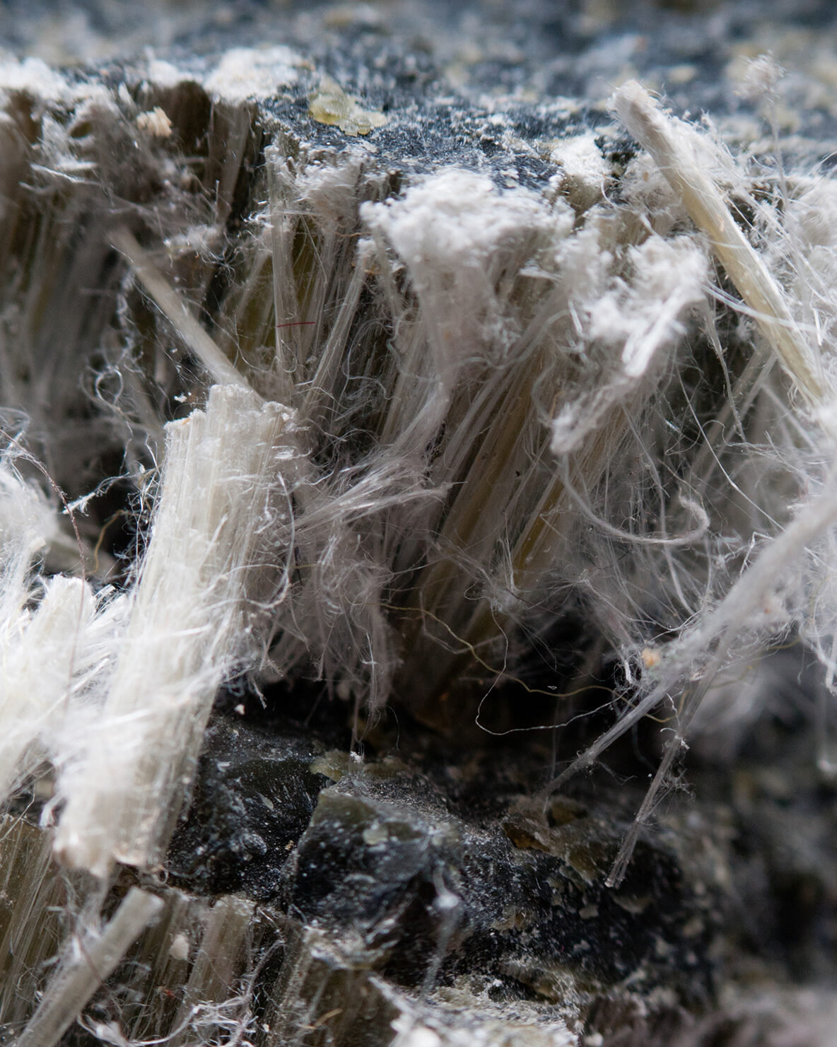 The duty to manage asbestos in buildings